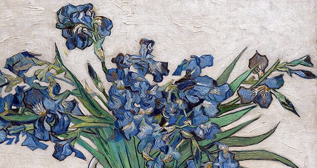 Van Gogh. Iris, (dettaglio)