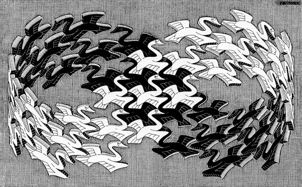 Escher. Cigni, 1956. Incisione su legno